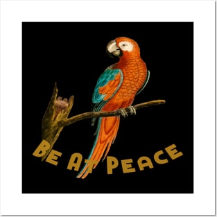 Motivational Parrot - Be At Peace - Parrot Posters and Art